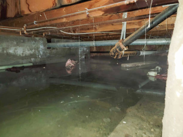 Professional Water damage restoration in Booker, TX