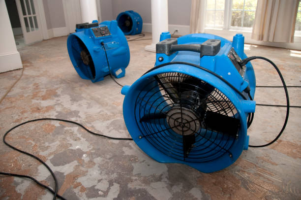 Best Basement water damage restoration  in Booker, TX