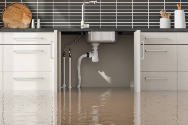 Best Water damage restoration cost  in Booker, TX