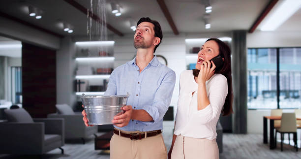 Best Water damage cleanup near me  in Booker, TX